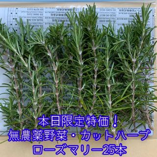 本日限定特価！採れたてローズマリー25本＊カットハーブ＊無農薬野菜＊ネコポス＊(野菜)