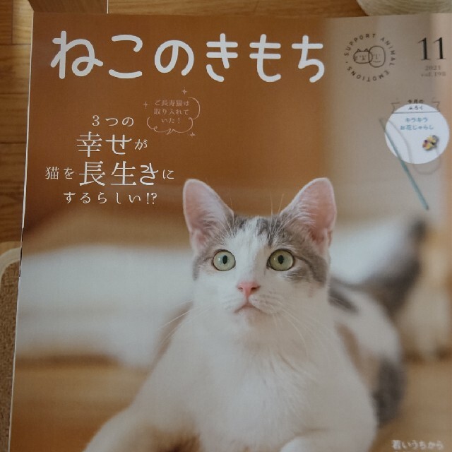 ねこのきもち15冊セット その他のペット用品(猫)の商品写真