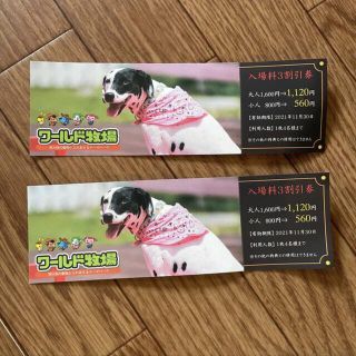 ワールド牧場　チケット　🐶一枚売り(遊園地/テーマパーク)