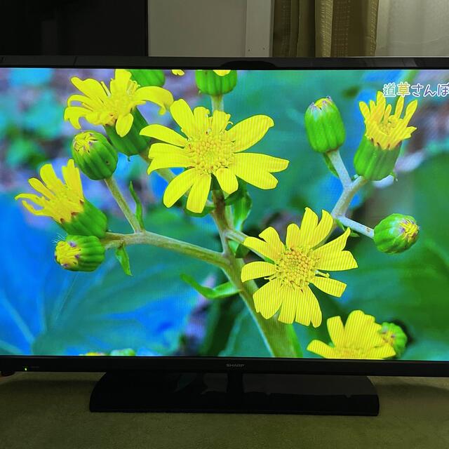 SHARP(シャープ)のSHARP AQUOS LC-40S5 40V型 液晶テレビ 2017年製 スマホ/家電/カメラのテレビ/映像機器(テレビ)の商品写真