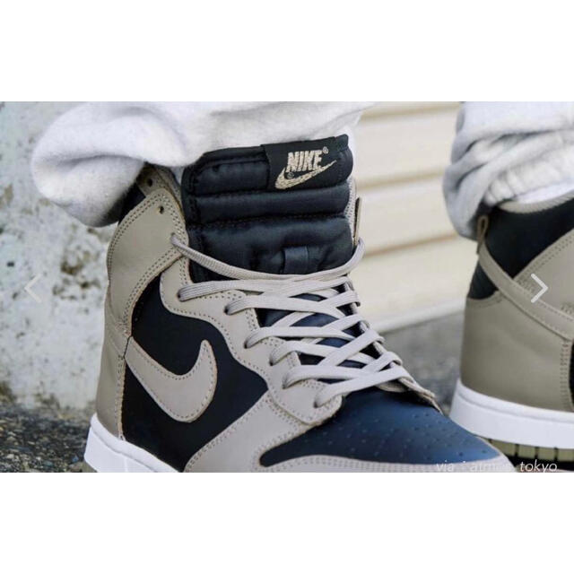 NIKE(ナイキ)の【新品タグ付】Nike WMNS Dunk High "Moon Fossil" レディースの靴/シューズ(スニーカー)の商品写真