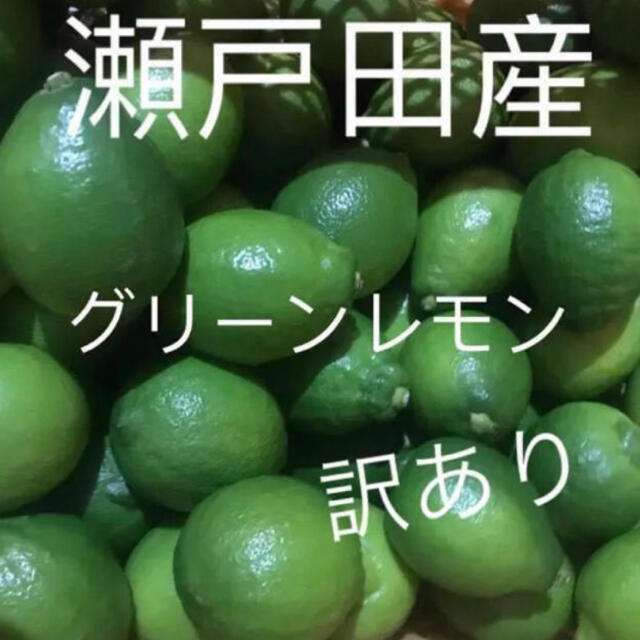 グリーンレモン　2.5キロ 食品/飲料/酒の食品(フルーツ)の商品写真