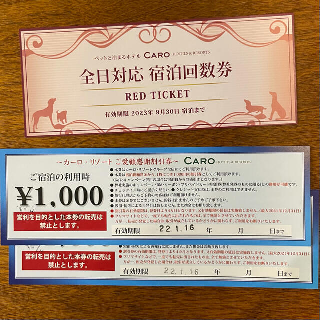 在庫限り】 カーログループ レッドチケット 全日対応 割引券付きの通販