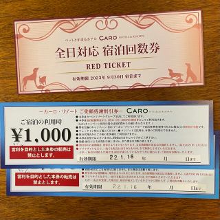 カーログループ レッドチケット 全日対応 割引券付き(宿泊券)