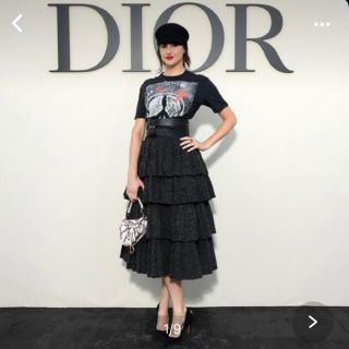 クリスチャンディオール(Christian Dior)のクリスチャンディオール DIOR スカート　新品未使用(ひざ丈スカート)