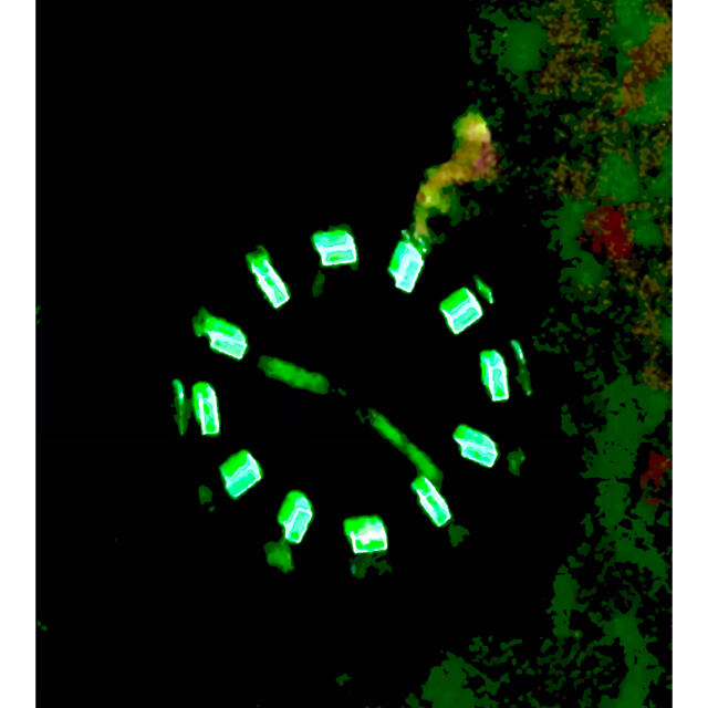 Luminox NOXレアー１７００シリーズブラックバッテリー交換済の通販 by porshe964s shop｜ルミノックスならラクマ - 極上美品LUMI NEW在庫