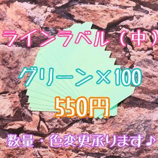 ◎ 100枚 ◎ 緑 ( 中 ) ラインラベル 園芸ラベル カラーラベル(プランター)