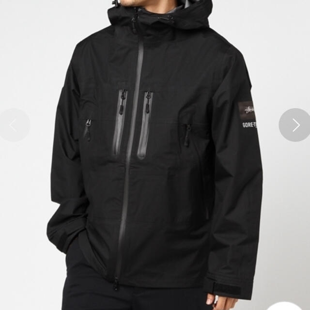 ステューシーGORE-TEX® Mountain Parka 希少Sサイズ 充実の品 49.0 ...