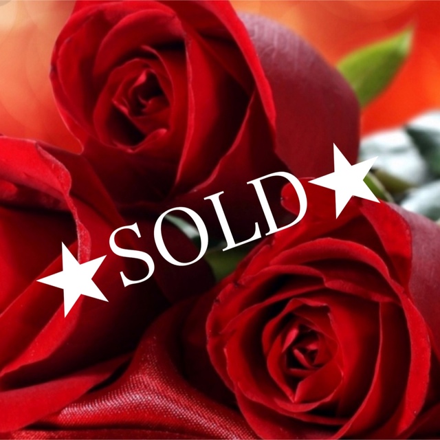 お歳暮 ☆SOLD☆天然石ジャスパーorシルバー2重フラワー◇ピアス