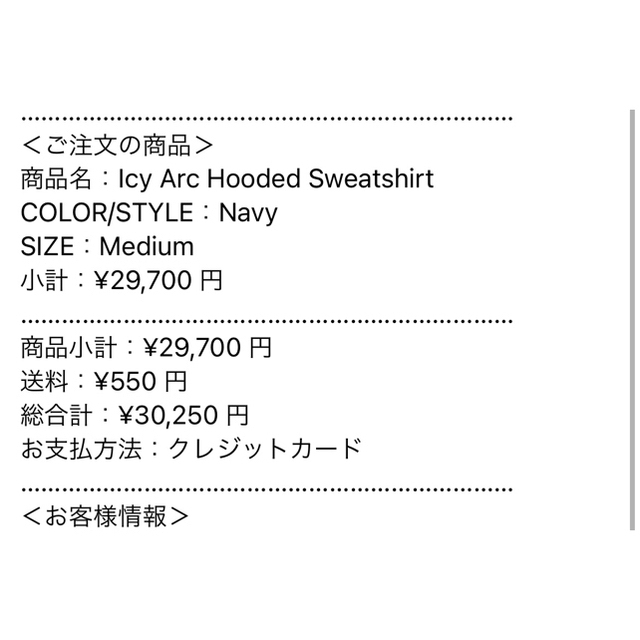 supreme icy arc hooded sweatshirt M