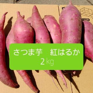 さつま芋　紅はるか　2kg(野菜)