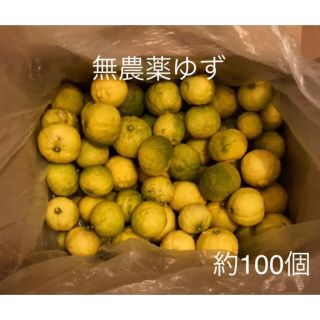 無農薬ゆず　約100個(フルーツ)