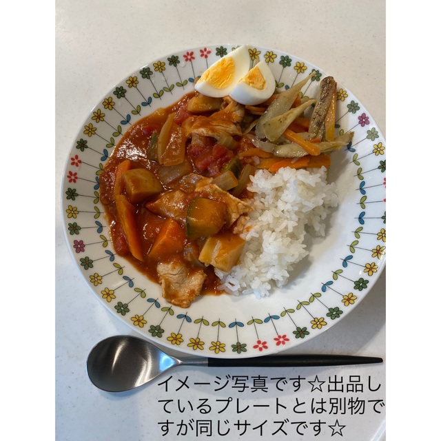 ピエモンテ エミリオプッチ ローゼンタール プレート 皿 パスタ カレー ピエモンテ エミリオプッチ ローゼンタール プレート 皿 パスタ カレー