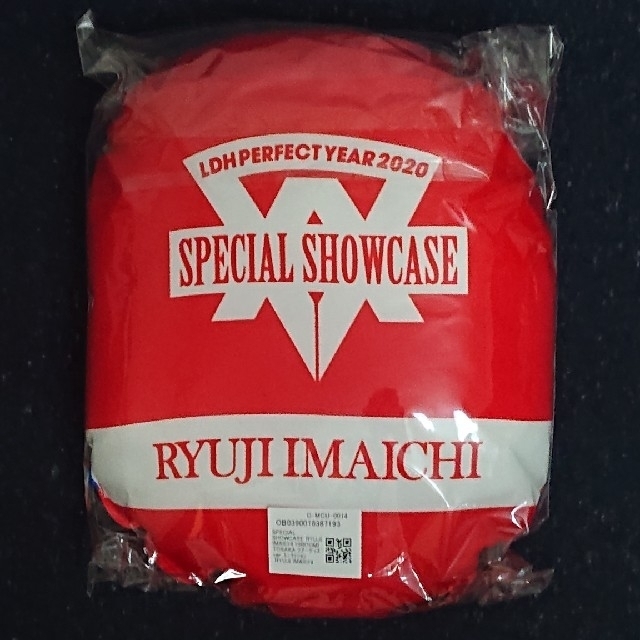 SPECIAL SHOWCASE  RYUJI IMAICHI ミニクッション