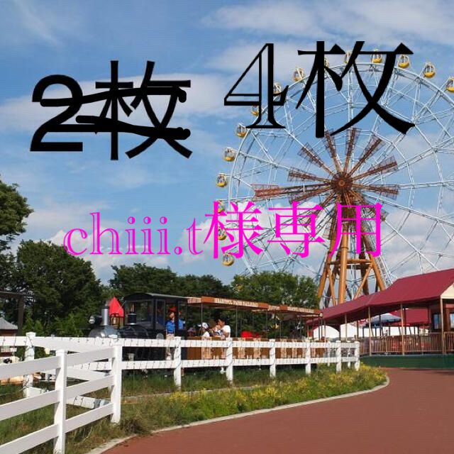 施設利用券東武動物公園フリーパス　　2枚