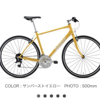 ジャイアント(Giant)のESCAPE R3 (自転車本体)