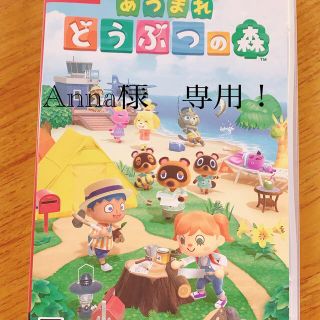 Switch あつまれどうぶつの森(家庭用ゲームソフト)