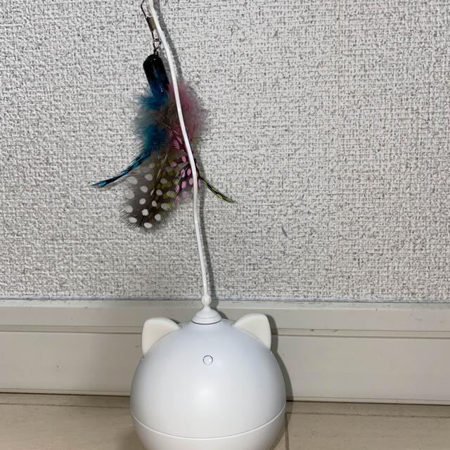 BENTOPAL PO2 Colorful cat  toy その他のペット用品(猫)の商品写真