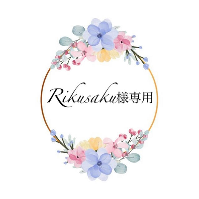 10570円 Rikusaku様専用 reduktor.com.tr