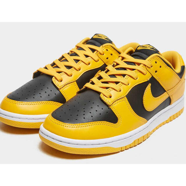 NIKE(ナイキ)の【28cm】Nike Dunk Low Championship Gold メンズの靴/シューズ(スニーカー)の商品写真