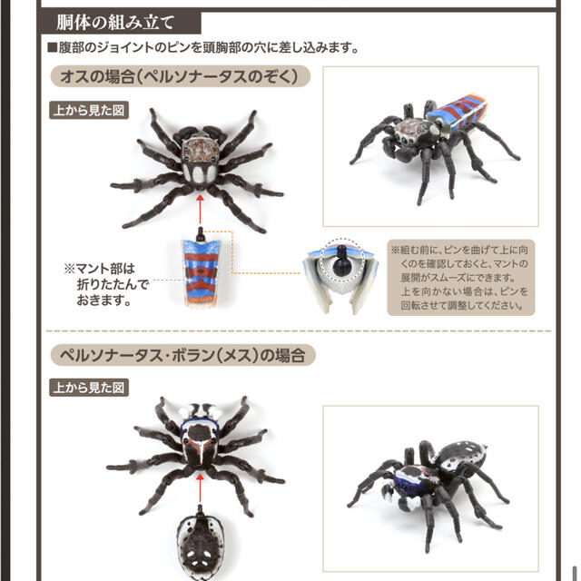 Bandai Bandaiガシャポンいきもの大図鑑クモの通販 By しのりん バンダイならラクマ Bandai Bandaiガシャポンいきもの大図鑑クモの通販 By しのりん バンダイならラクマ
