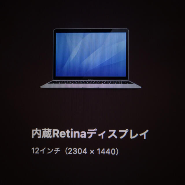 Apple MacBook 12 2017 スペースグレイ 256GB 箱付き