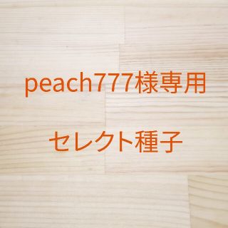 peach777様専用　セレクト種子　4袋(野菜)