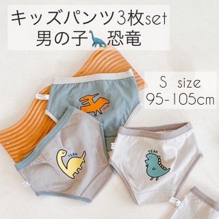 【限定1点！】　キッズパンツ　男の子　恐竜　下着　着替え(下着)