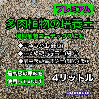 多肉植物の土 サボテンの土 多肉植物用土 塊根植物の土(その他)