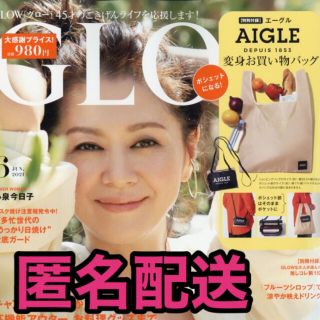 エーグル(AIGLE)のGLOW付録 エーグル ポシェット エコバッグ(エコバッグ)