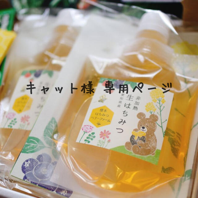 キャット様専用ページ 食品/飲料/酒の加工食品(その他)の商品写真