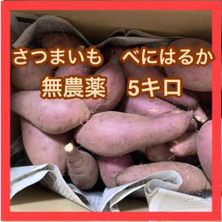 【無農薬】さつまいも　紅はるか　5キロ　サイズいろいろ(野菜)