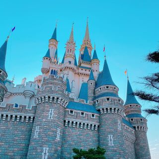 ディズニー(Disney)のマイシン様　専用(キャラクターグッズ)