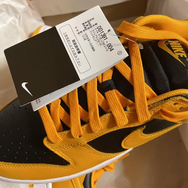 NIKE(ナイキ)のNike Dunk Low Championship Goldenrod メンズの靴/シューズ(スニーカー)の商品写真