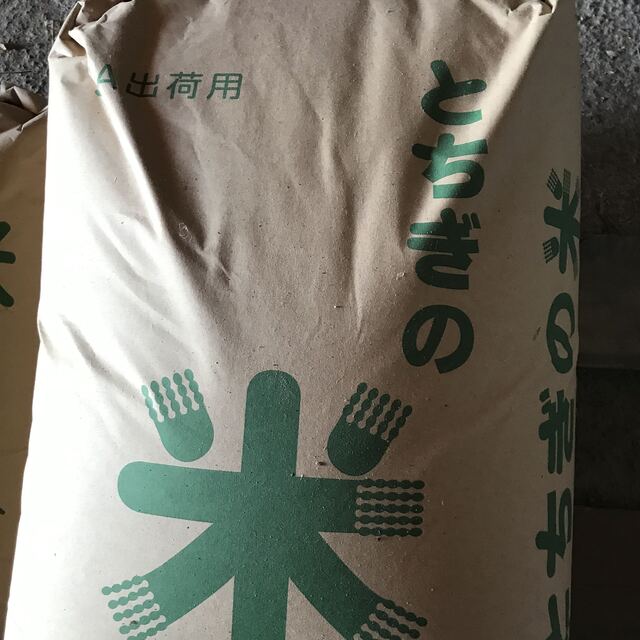 令和3年度産栃木県産コシヒカリ30キロ玄米