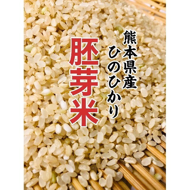 熊本県産★ヒノヒカリ胚芽米１０キロ★栄誉価抜群★健康食★特別栽培米