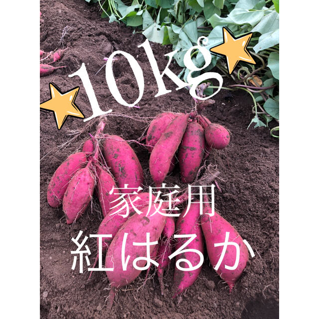 産地直送！紅はるか　無農薬　10kg 子どもたちも大好き！ 食品/飲料/酒の食品(野菜)の商品写真