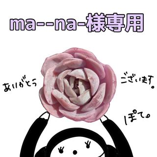 ma--na-様専用(その他)