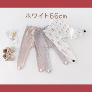 ドット柄タイツグレー66cm(パンツ)