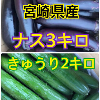 なす　きゅうり　宮崎県産(野菜)