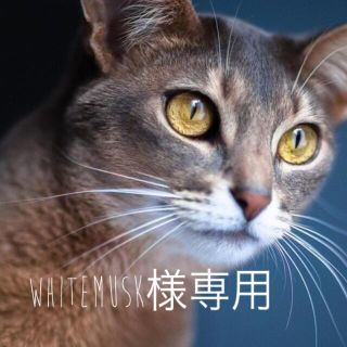 WhiteMusk様(猫)