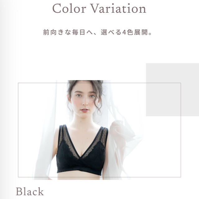 新品⚜️ルルクシェル　ナイトブラ　ブラック　3L  レディースの下着/アンダーウェア(ブラ)の商品写真