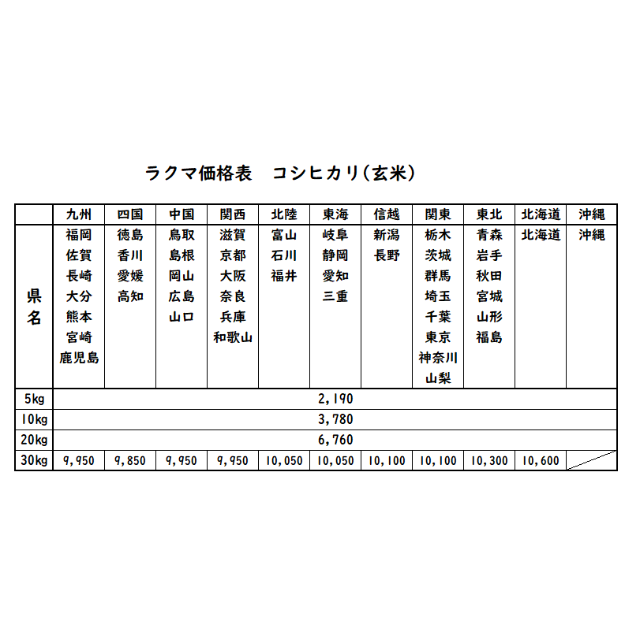 お米　令和3年　愛媛県産コシヒカリ　玄米　30㎏