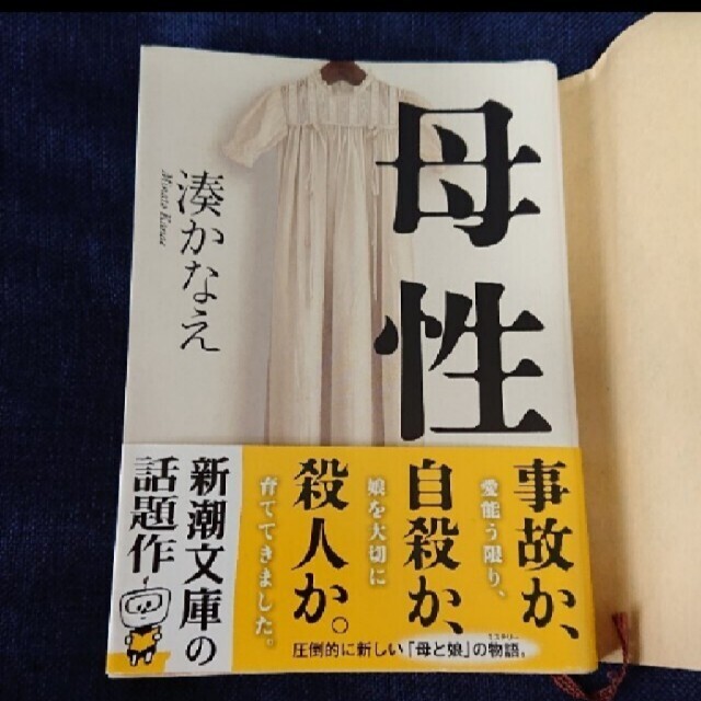 湊かなえ「母性」百田尚樹「モンスター」二冊セット エンタメ/ホビーの本(文学/小説)の商品写真