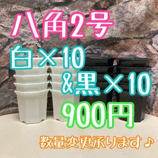 八角鉢 ◎20個【白・黒 各10個】◎ 2号 2寸 プラ鉢 ミニ鉢 シャトル鉢(プランター)