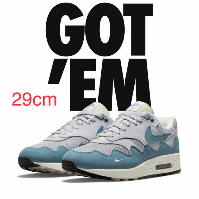 AIR MAX 1 × パタ　アクアノイズ　29センチ