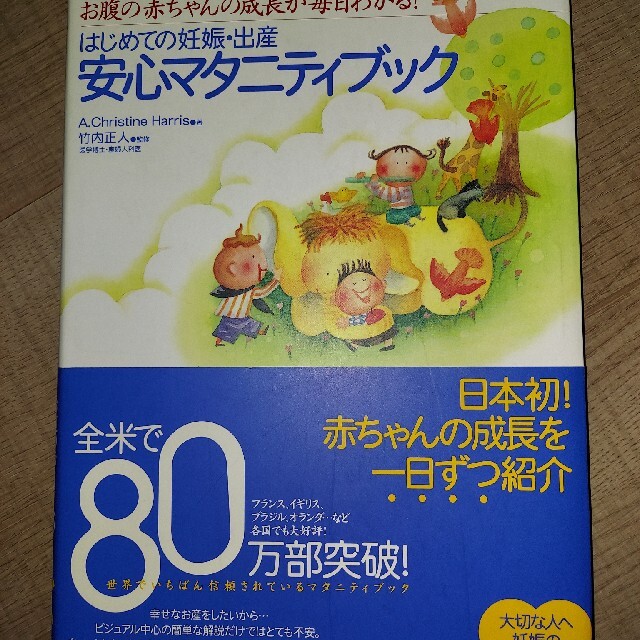 主婦と生活社(シュフトセイカツシャ)のはじめての妊娠・出産安心マタニティブック お腹の赤ちゃんの成長が毎日わかる！ エンタメ/ホビーの雑誌(結婚/出産/子育て)の商品写真