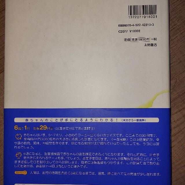 主婦と生活社(シュフトセイカツシャ)のはじめての妊娠・出産安心マタニティブック お腹の赤ちゃんの成長が毎日わかる！ エンタメ/ホビーの雑誌(結婚/出産/子育て)の商品写真