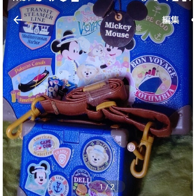 Disney(ディズニー)のSpring　Voyage　ダッフィー＆シェリーメイポップコーンケース エンタメ/ホビーのおもちゃ/ぬいぐるみ(キャラクターグッズ)の商品写真