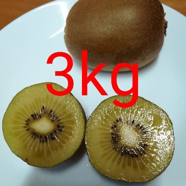 ゴールドキウイフルーツ　3kg 食品/飲料/酒の食品(フルーツ)の商品写真